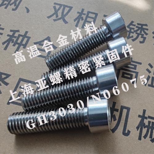 来宾GH3030（N06075/2.4630/2.4951）螺栓